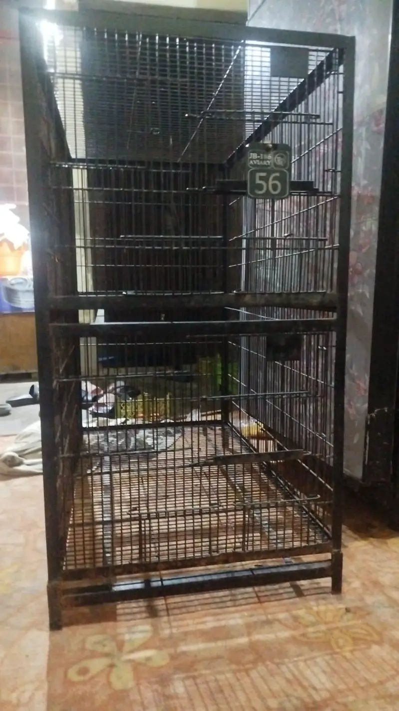 bird cages double story 3 lenth 1.5 wigth 1.5 fut hight — photo 7
