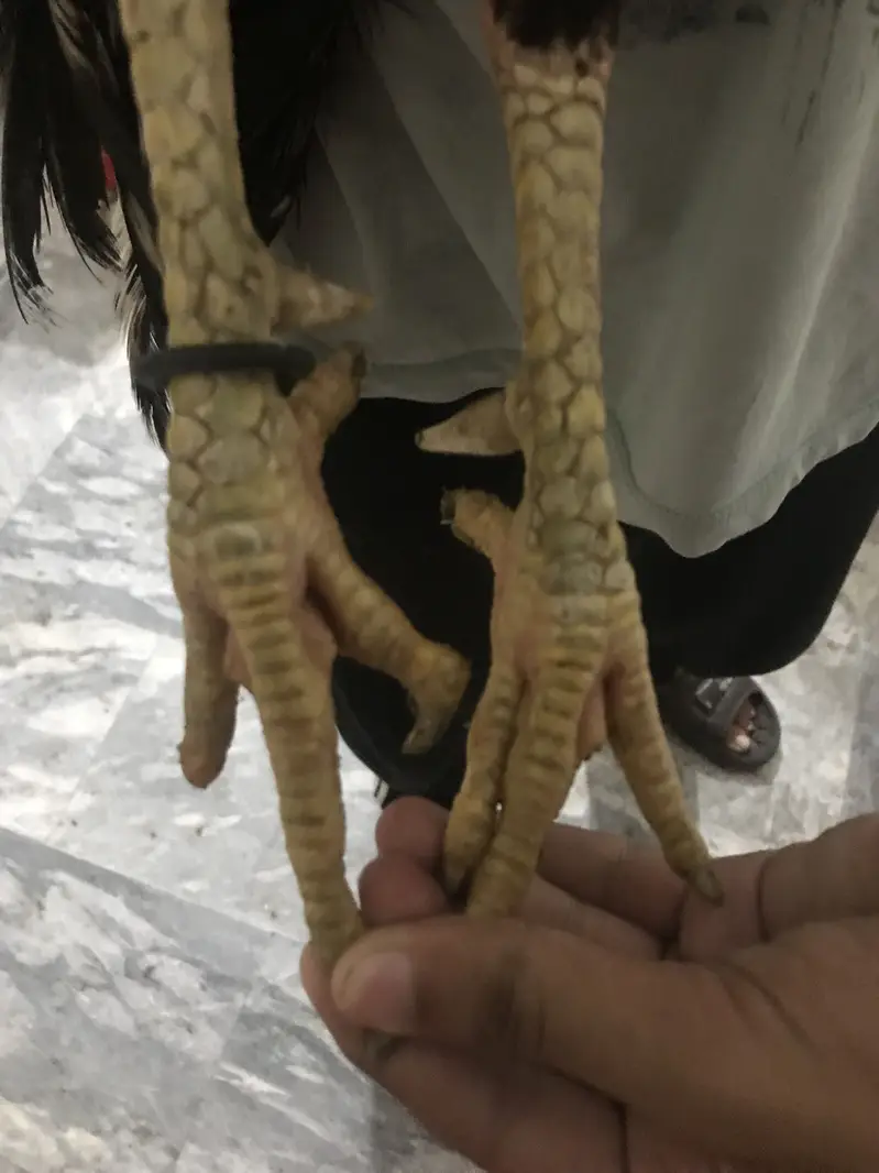Hint x veit exchange possible hai — photo 3