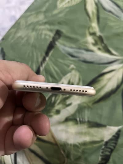 Iphone. 7