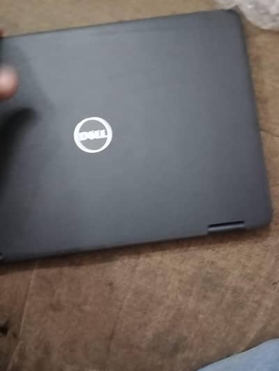 dell 3100