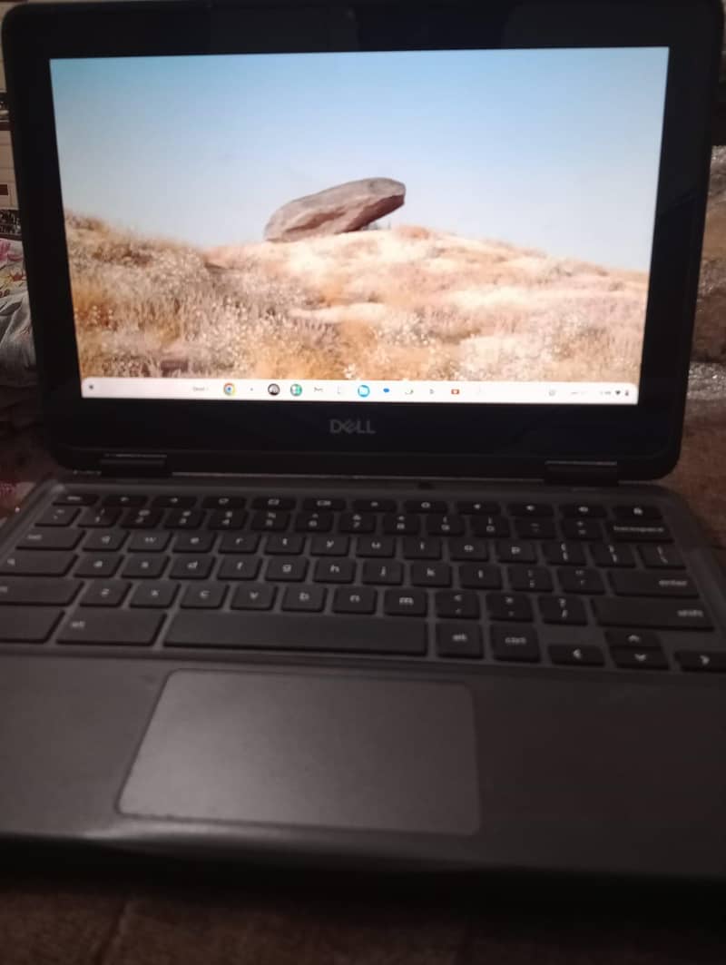 dell 3100 1