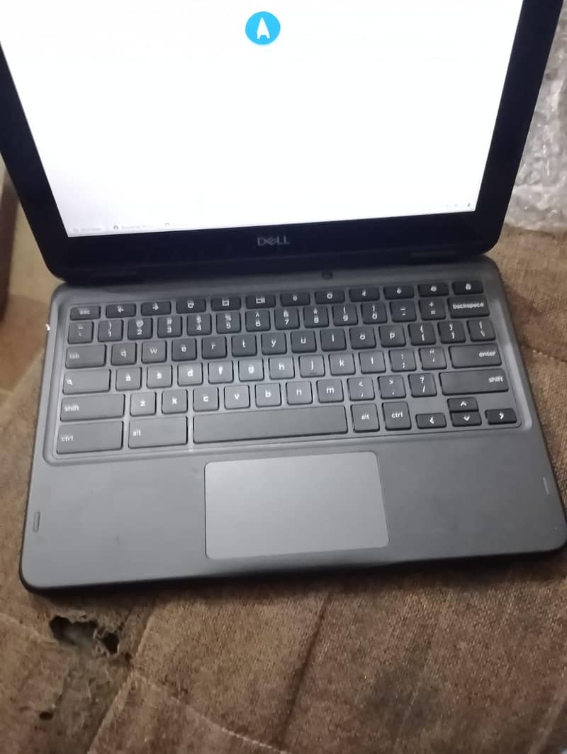 dell 3100 2