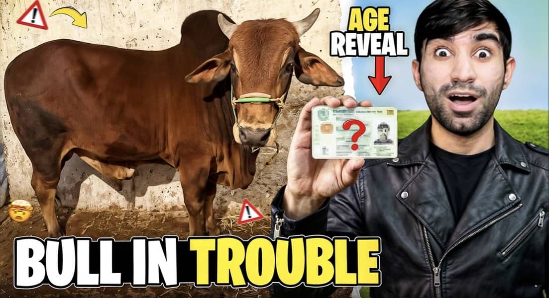Thumbnail Designer 3
