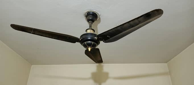 breeze Fan