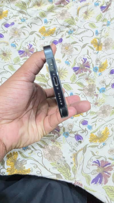 Apple iPhone 12 Pro
