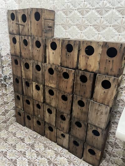 cage for sale