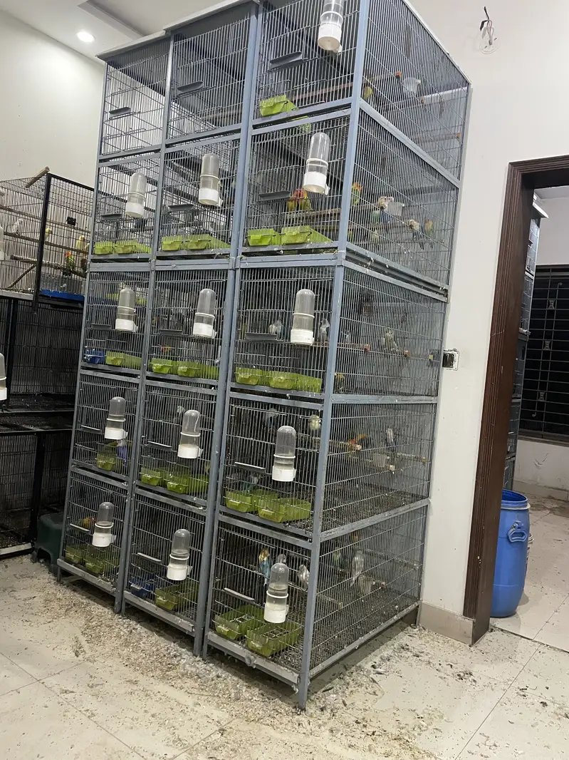cage for sale — photo 3