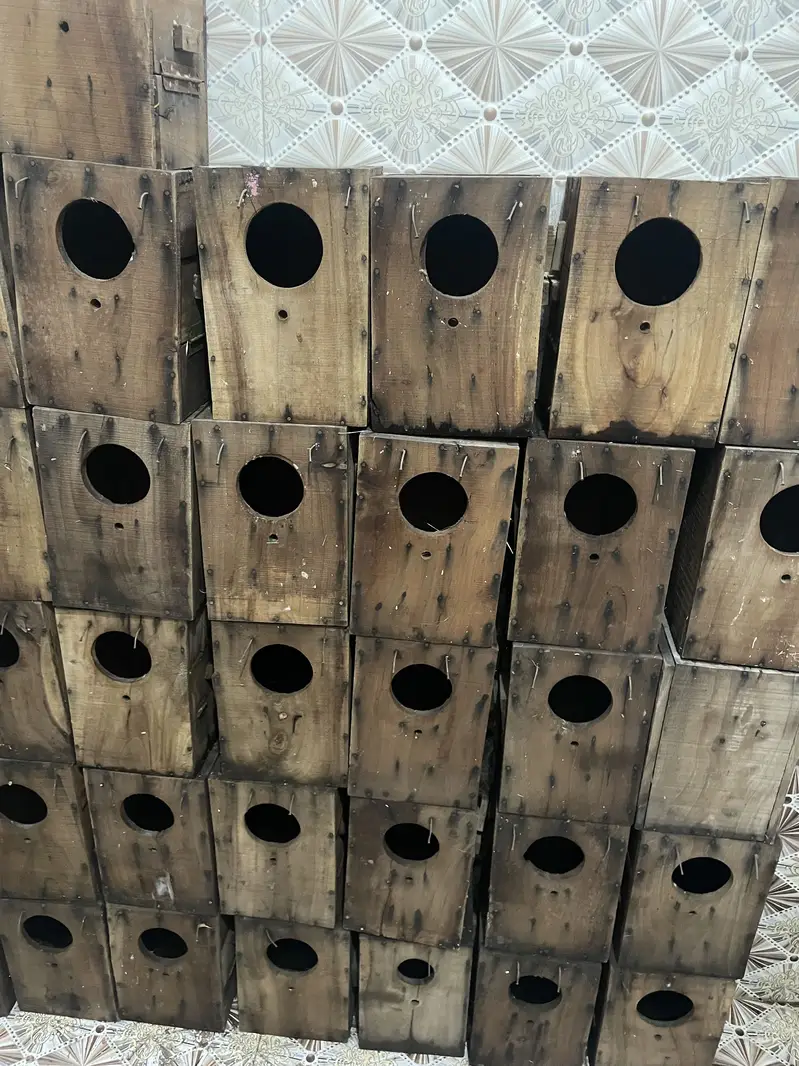 cage for sale — photo 4