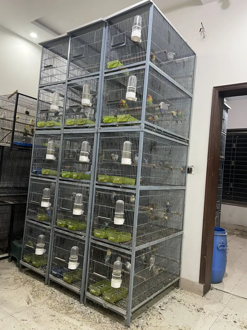 cage for sale — photo 5