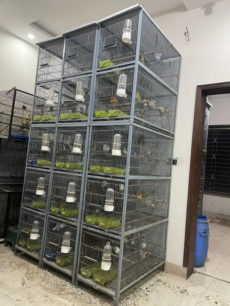cage for sale — photo 6