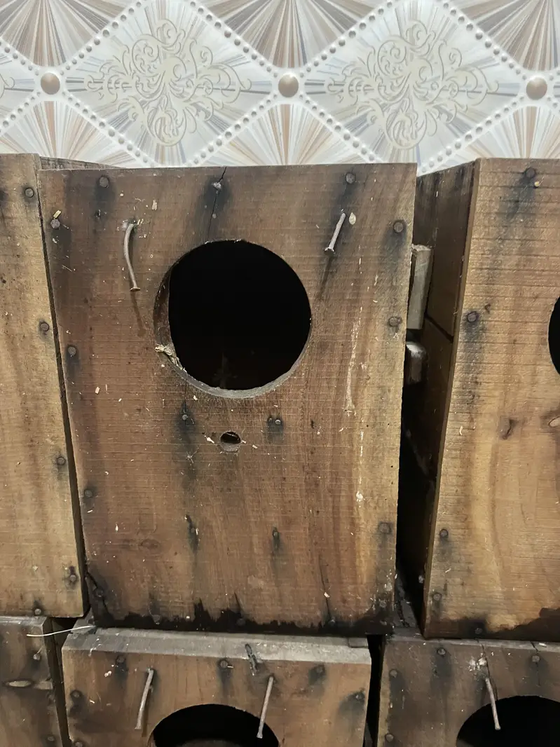 cage for sale — photo 7