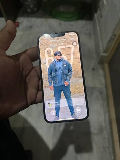 Apple iPhone 13 Pro Max