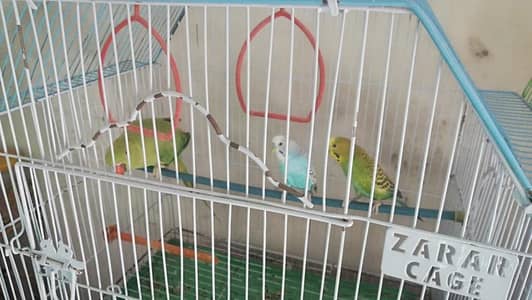 For sale