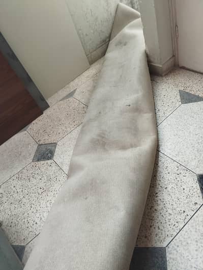 carpet
