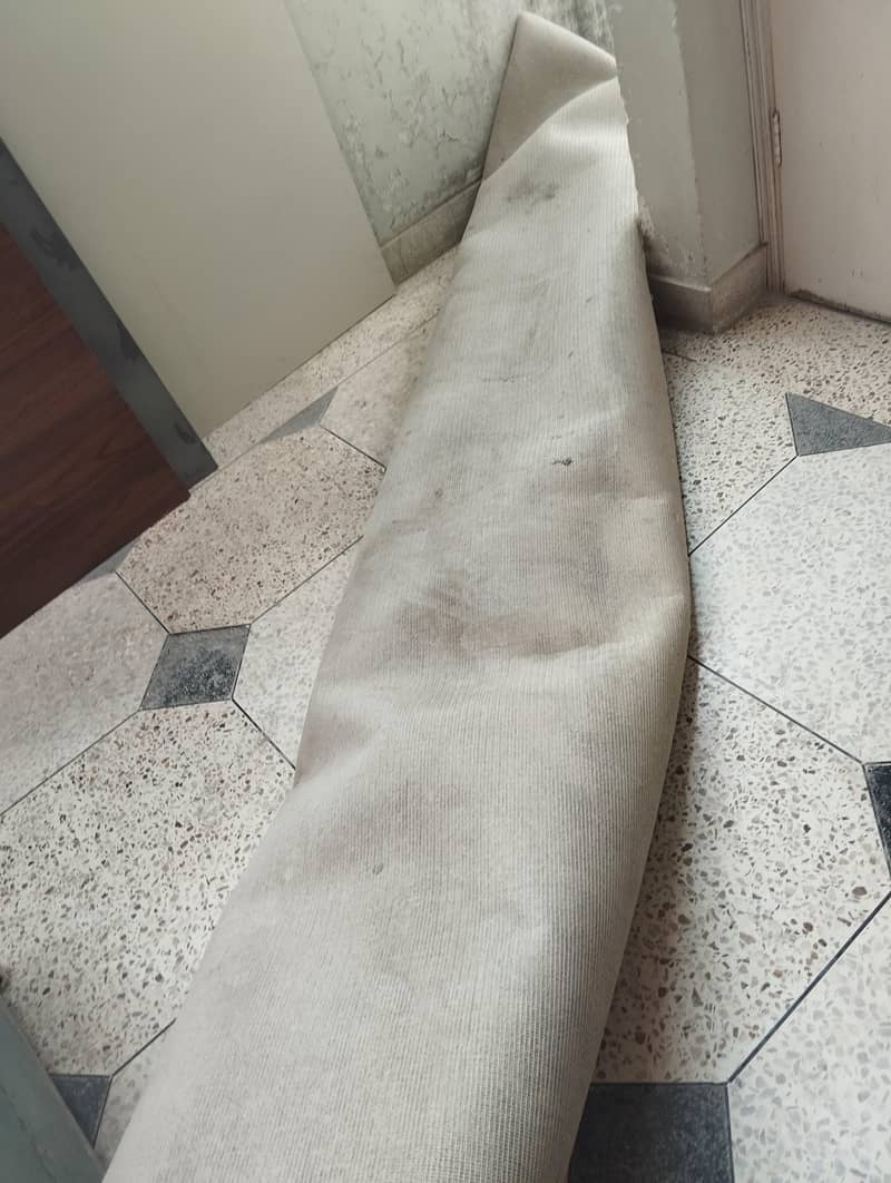 carpet 0