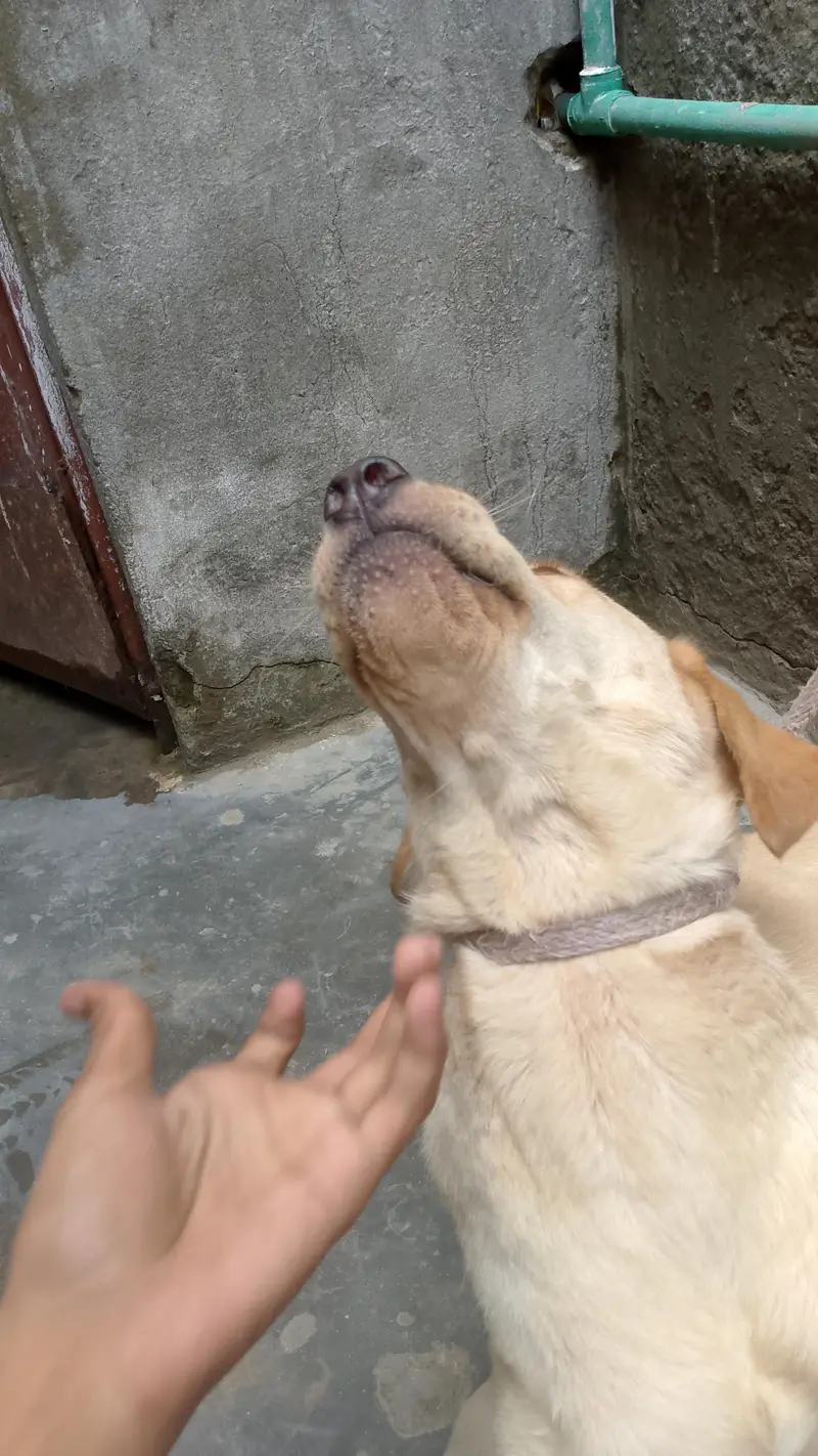 labra — photo 6