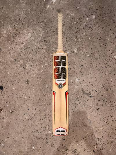 Hard Ball Bat