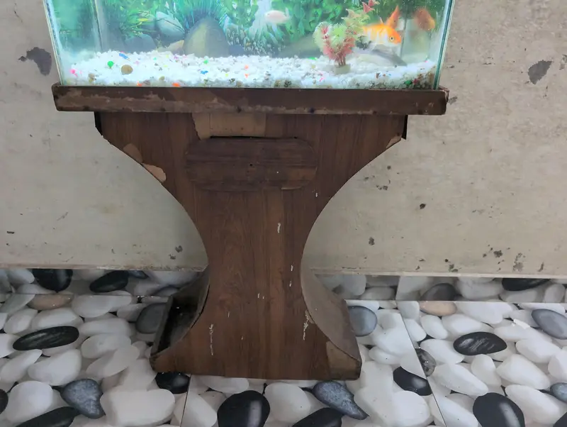 Fish Aquarium — photo 4