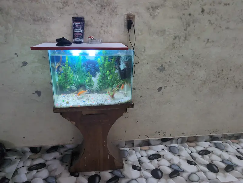 Fish Aquarium — photo 5