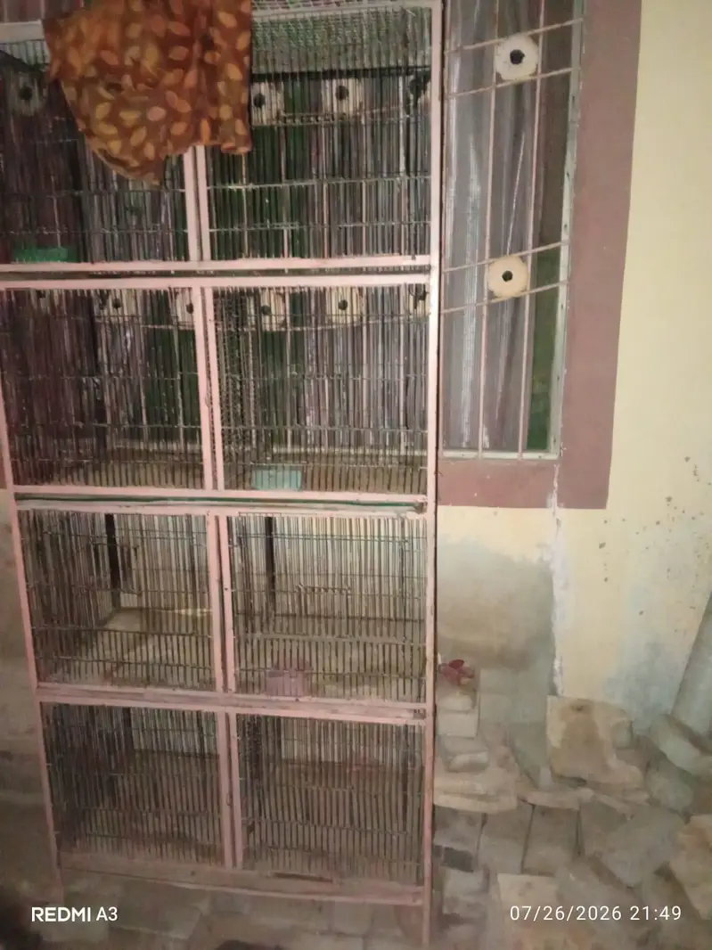 cage for sale — photo 3
