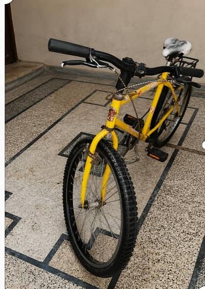 Phoenix Bicycle 26" - Good Condition |