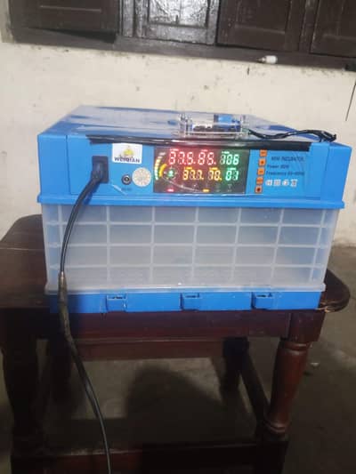 36 egg incubator for sale