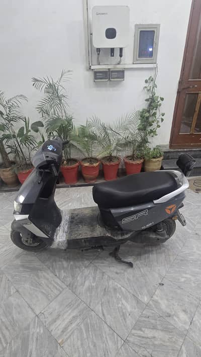 for sale
