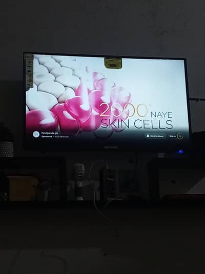LCD tv