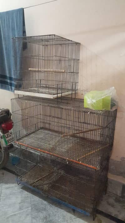 iron cage