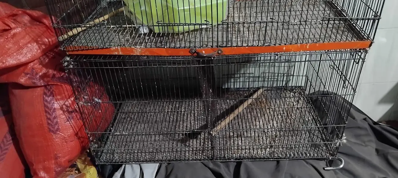 iron cage — photo 4