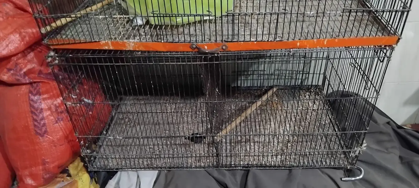iron cage — photo 8