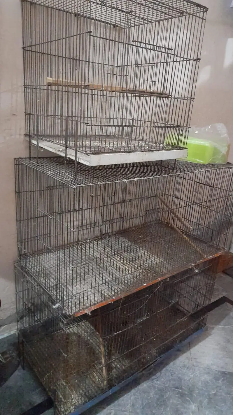 iron cage — photo 10