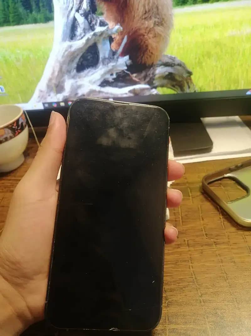Iphone 13 pro max 0