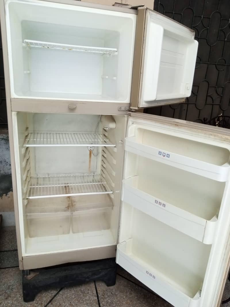 Fridge 1