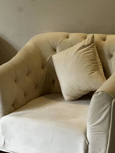 Luxury Velvet Sofa chairs .