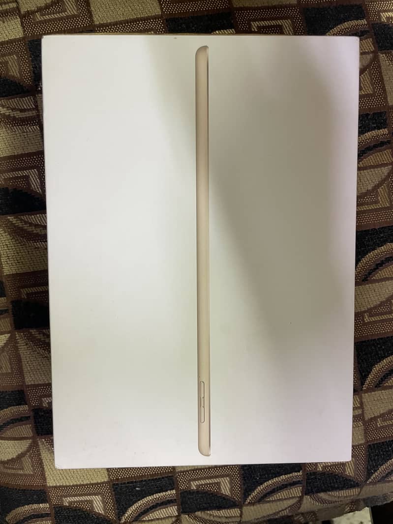 iPad Mini 4 2