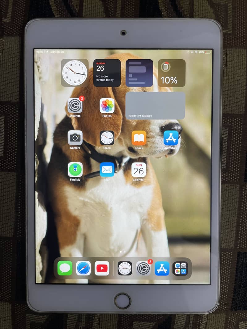 iPad Mini 4 3