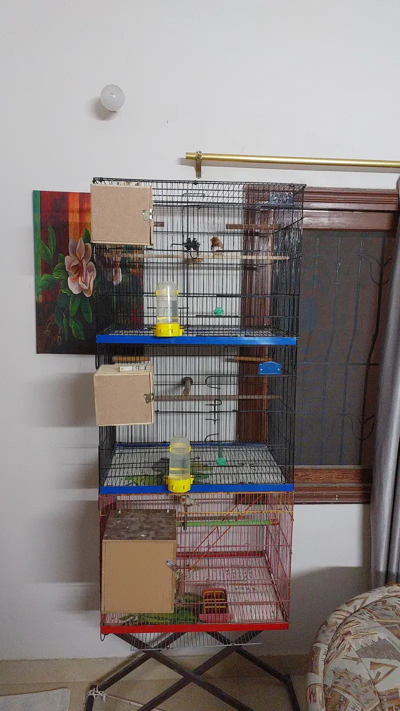 Cages/Pinjra almost new — photo 4