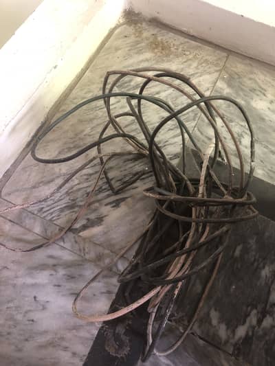 Dish tv cable