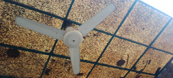 Adil AC Fan