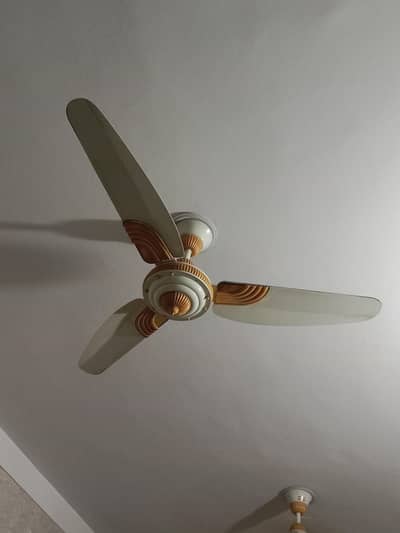 GFC Ceiling Fan 2 years used for Sale!