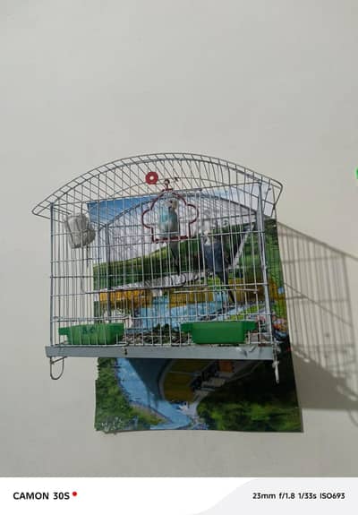 New cage urgent for sale