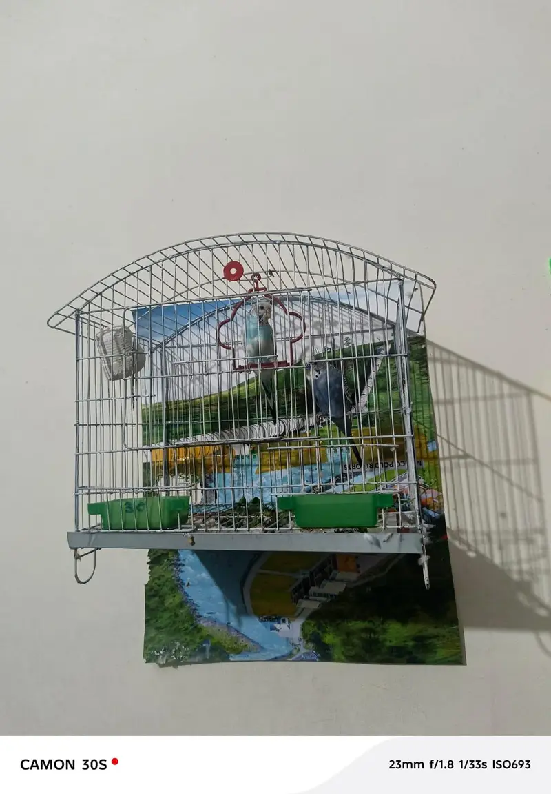 New cage urgent for sale — photo 2