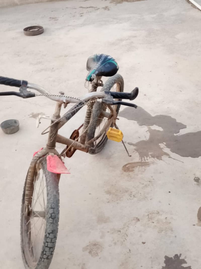 used cycle 1