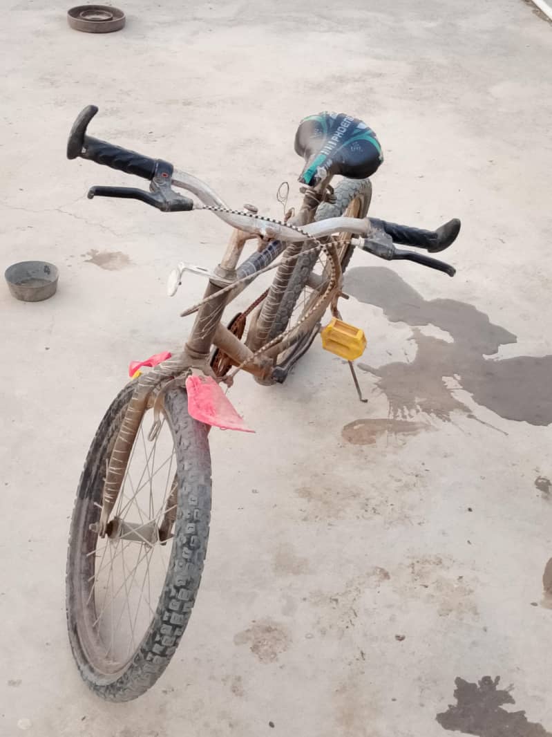 used cycle 2