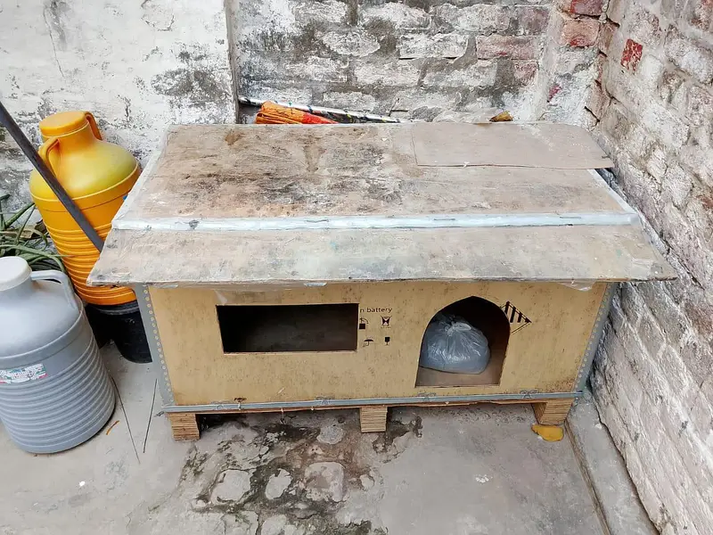 Wooden Cage for Cats for sale — photo 2