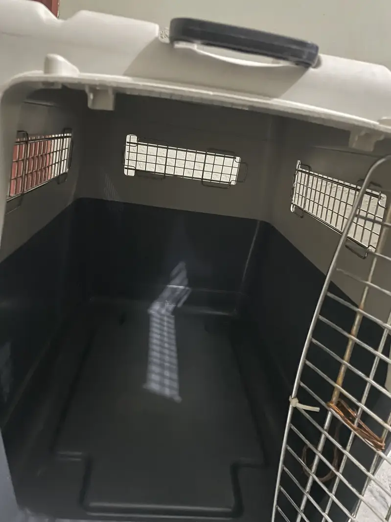 dog cage — photo 4