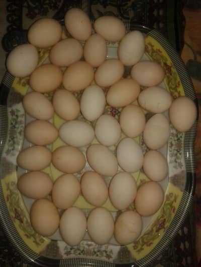 PURE FERTILED DESSI EGGS