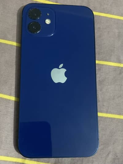 iPhone 12