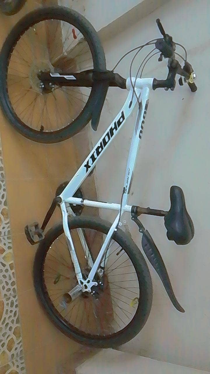bicycles 1